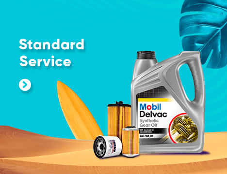 indianewperformance_banner1prob03.jpg_v1708602746